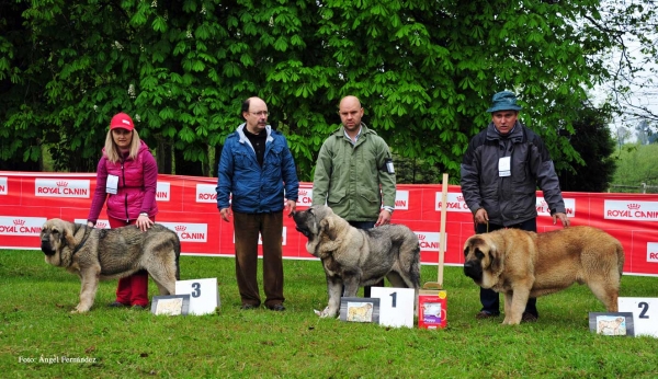 Finalistas, Castañada, Cantabria - 28.04.2012 
Keywords: 2012