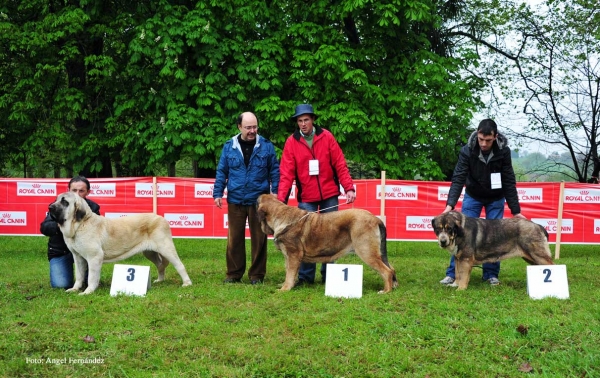 Finalistas, Castañada, Cantabria - 28.04.2012 
Keywords: 2012