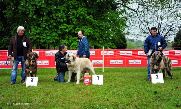 Finalistas, Castañada, Cantabria - 28.04.2012 
Keywords: 2012