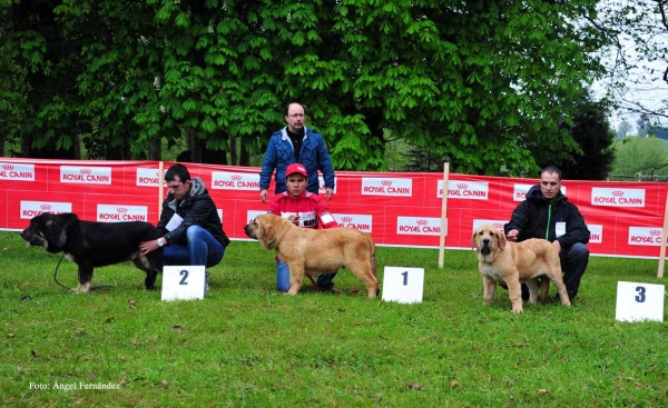 Finalistas, Castañada, Cantabria - 28.04.2012 
Keywords: 2012