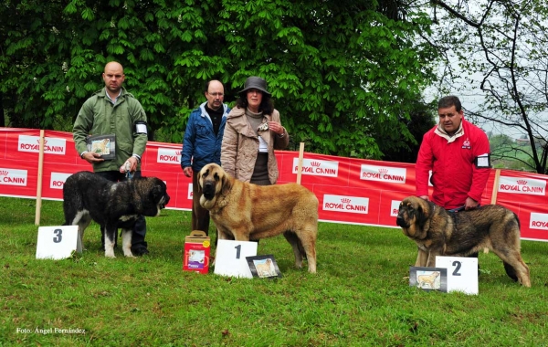 Finalistas, Castañada, Cantabria - 28.04.2012 
Keywords: 2012