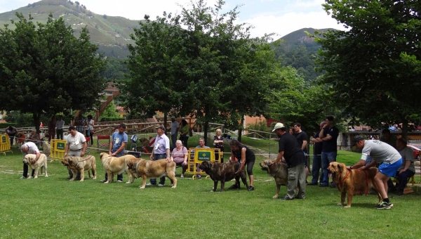 Open Class Females, Cangas de Onis, Asturias, Spain 05.07.2014
Keywords: 2014