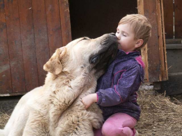 Vacceo de Fuente Mimbre
Canonero de Fuente Mimbre x Quintana de Fuente Mimbre
Born: 20.06.2010

Keywords: kids ultramaxima