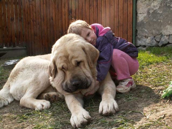 Vacceo De Fuente Mimbre
Canonero de Fuente Mimbre x Quintana de Fuente Mimbre
Born: 20.06.2010

Keywords: kids ultramaxima