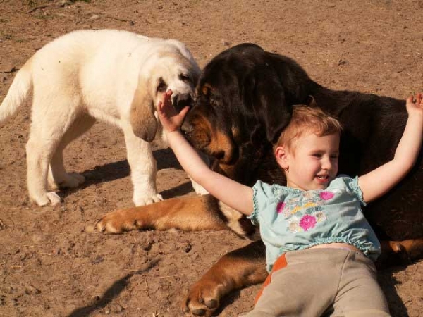 Nora de Fuente Mimbre and puppy
Moroco X Celsa de Fuente Mimbre
Born: 21.06.2009
Keywords: kids ultramaxima