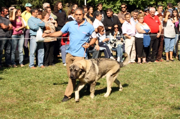 Young Class Males - Clase Jóvenes Machos - Barrios de Luna 2009
Anahtar kelimeler: 2009