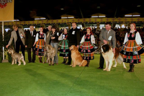 FRANCHESCA MASTIBE: CWC, BOB - "Champion of the Champions", Leszno, Poland - 25.02.2007
Keywords: 2007 ludareva