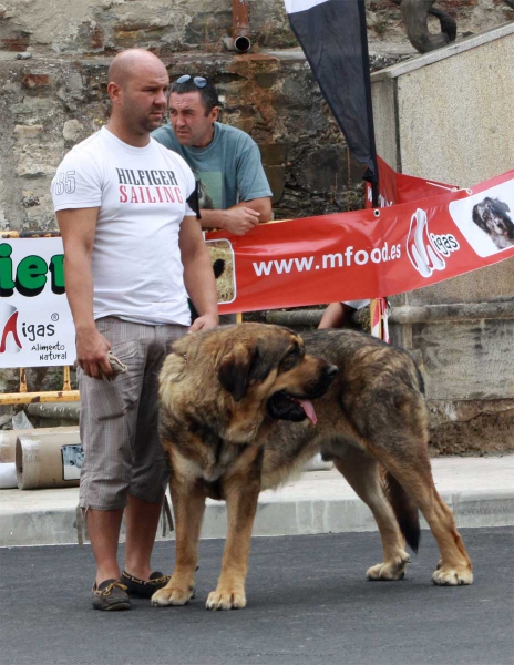 Intermediate Class Males - Villafranca del Bierzo, 06.09.2014
Keywords: 2014