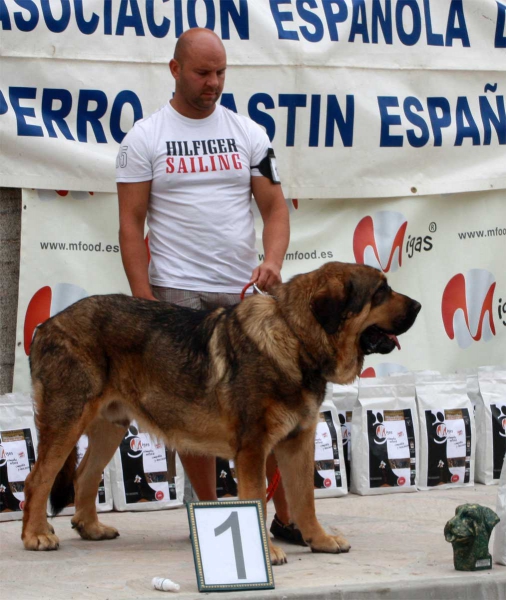 Intermediate Class Males - Villafranca del Bierzo, 06.09.2014
Keywords: 2014