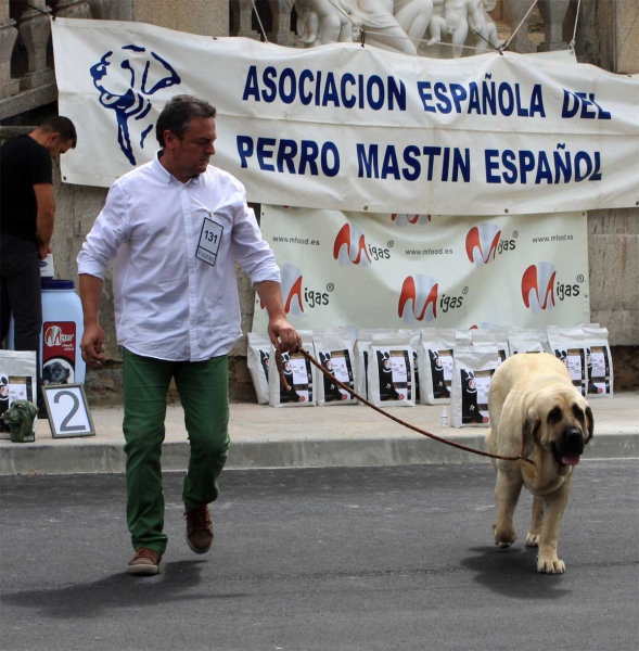 Intermediate Class Females - Villafranca del Bierzo 06.09.2014
Keywords: 2014