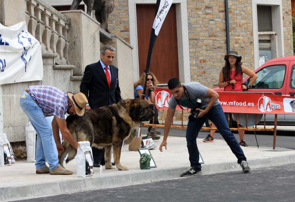 Veteran Class - Villafranca del Bierzo 06.09.2014
Keywords: 2014