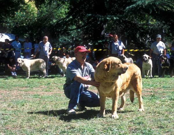 Autocan - Barrios de Luna 2001
Keywords: 2001