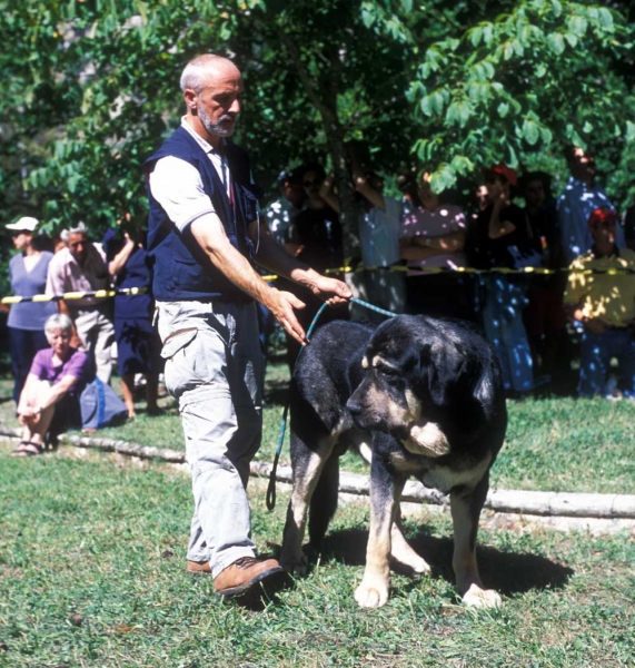 Ulises de Babia - Barrios de Luna 2001
Keywords: babia 2001