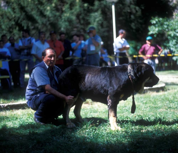 Truman  - Barrios de Luna 2001
Keywords: cuetonegro 2001