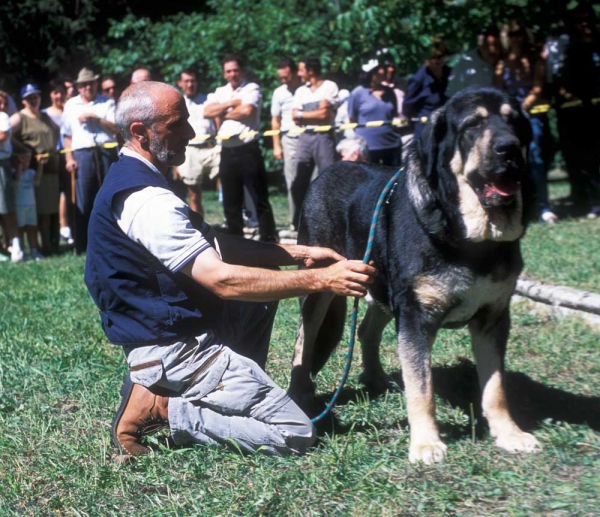 Ulises de Babia - Barrios de Luna 2001
Keywords: babia 2001