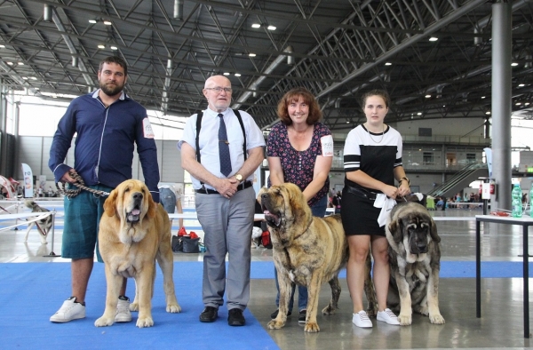 BOS Yves Henri Tornado Erben, Best of Breed Gorgeous Girl Tornado Erben and Best junior Zarko Mastibe - International dog show in Brno 2019
Keywords: tornado 2019