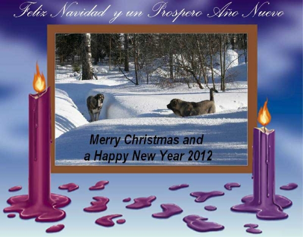 Merry Christmas amd Happy New Year 2012 from La Casa de Vera, Finland
