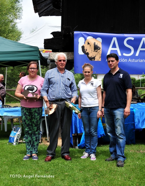 Judge, Commissioner and Organizers - Cangas de Onis, Asturias, Spain - 08.07.2017 (ASAME)
Keywords: 2017 asame