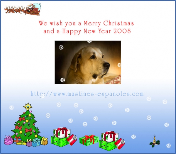 Merry Christmas 2007 from Toro de la Peña Moro and his family
Keywords: toro