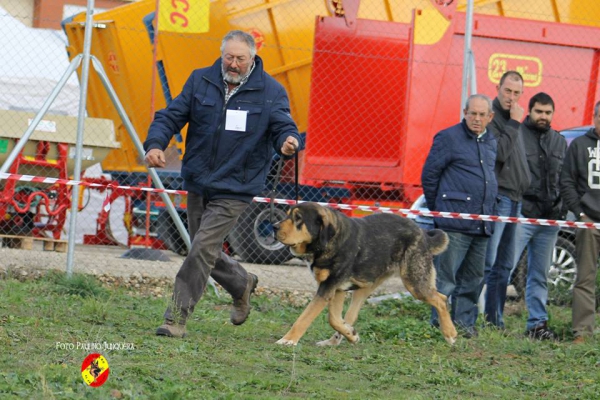 Laguna I de 4 Elementos: 1ª Intermediate Class Females - Mansilla de las Mulas 09.11.2014

 
Keywords: 2014