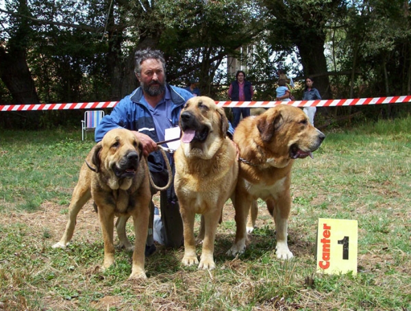 Pecho de La Vicheriza, Pantoja de La Vicheriza & Luna de La Vicheriza - Best Breeding Group, Fresno del Camino, León, 08-08-2004
Mejor Grupo de Cría  
Owner: Cándido Rodríguez Arias 
 

Keywords: 2004 vicheriza