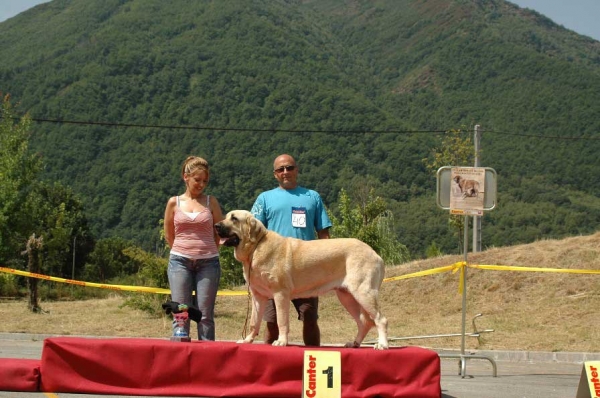 1. Loba - Intemediate Class Females/Clase Intermedia Hembras - Villablino, León, 05.08.2007
Photo: Francisco Baz 
Keywords: 2007