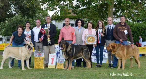 Best Female (BOS), Best Male (BIS) & Best Young - Somo, Cantabria, Spain 2017 (AEPME)
Keywords: 2017