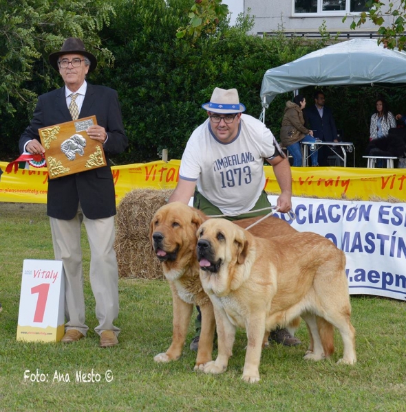 Best pair: CARDENAL DE ARASANZ y CAMINERA DE ARASANZ - Somo, Cantabria, Spain 2017 (AEPME) 
Anahtar kelimeler: 2017 arazanz