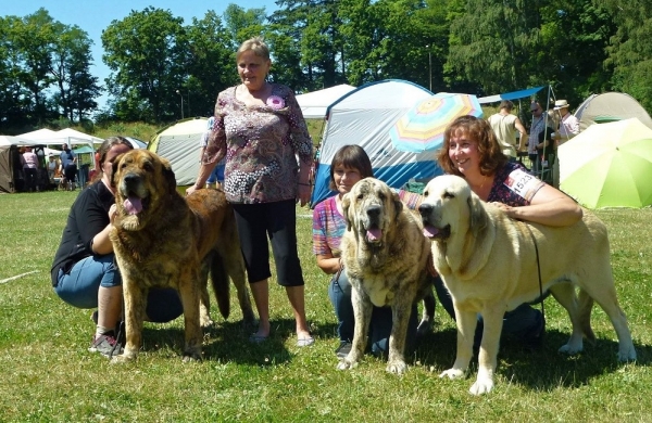 BOS and Best veteran Dave Tornado Erben, Best of Breed Galaxia Tornado Erben and Best junior Hortensia Tornado Erben - National show in KLatovy 2019
Keywords: 2019 tornado