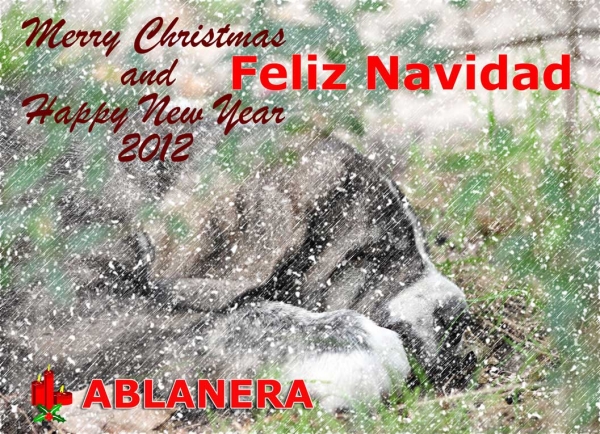 Merry Christmas and Happy New Year 2012 from Ablanera, Asturias Spain
Keywords: ablanera