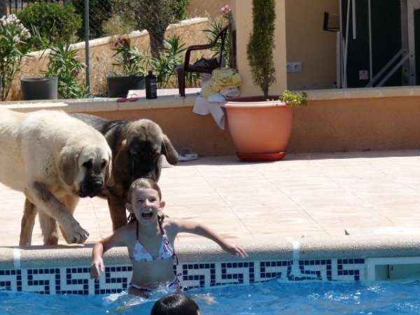 THE PUSH!!! El EMPUJON!!! - Muga de Zurita y Sarko Tornado Erben and Natalie....
AQUI TENEMOS NATALIE DE ACABA DE ESTA EMPUJADO POR MUGA EN LA PISCINA!
SARKO ACERCO AYUDARLA!!!
HERE WE HAVE NATALIE WHO HAS JUST BEEN PUSHED IN THE POOL BY MUGA, AND SARKO WHO HELPED HER!! 
Keywords: kids