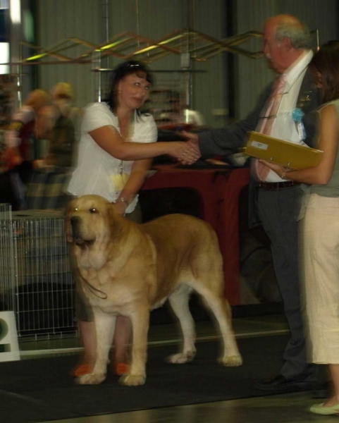 Jorgito Tornado Erben (Simba): EXC 1, LT CAC, CACIB, Best Male, BALTIC WINNER 2008, BOB - Open Class Males, "Baltic Winner 2008" 02.08.2008, Vilnius Lithuania 
- and: EXC 1, LT CAC, CACIB, Best Male, BOB - Open Class Males, 010.8.08 “VILNIUS SUMMER’ 2008’’

Druso de la Aljabara x Cassandra Tornado Erben)
Born: 26.06.2006 


Keywords: 2008 emastif