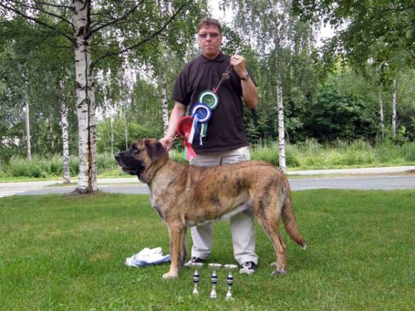 Harem Ulmaf Kabo-Kallis (Leona): BOS, National Dog Show, Kuopio,Finland - 03.08.2008
(MUSCULAR PICK-UP-SPEED x FORTUNA OF THE WITCHES MELTINGPOT)

Breeder: Merilyn Meristo - kennel HAREM ULMAF
Owner: Pekka Häkkinen, Kuopio 
Keywords: 2008 leona