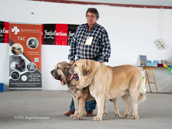 Parejas - Luarca, Asturias, Spain 21.11.2015
Keywords: 2015