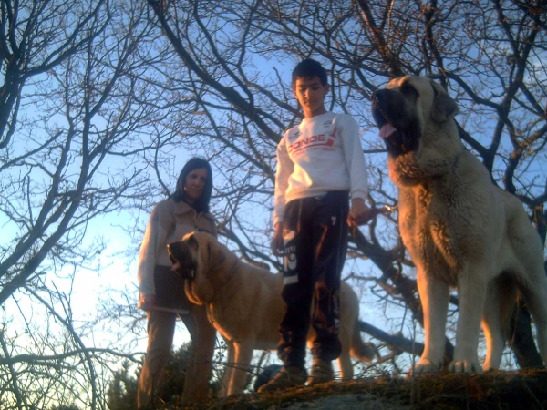 Bardo y Belice de la Salombra con la familia en la montaña
Keywords: muxa