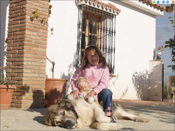 Thor with his friend
Klíčová slova: kids vulpeja pastrana