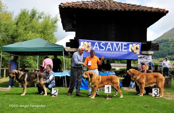 Podium Intermediate Class Males - Cangas de Onis, Asturias, Spain - 08.07.2017 (ASAME)
Keywords: 2017 asame