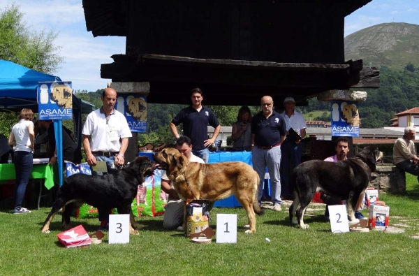 Best Junior Females, Cangas de Onis, Asturias, Spain 05.07.2014
Keywords: 2014