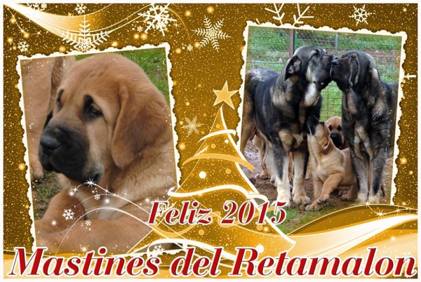 Merry Christmas & Happy New Year 2015 from Retamalon, Spain
Keywords: xmas