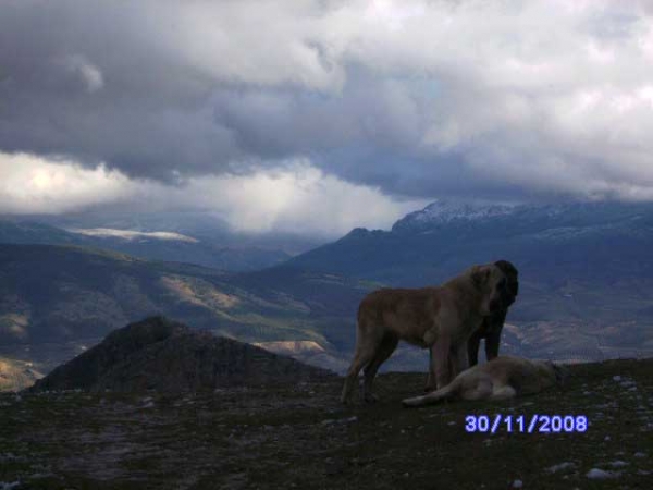 ACARICIANDO LAS NUBES
