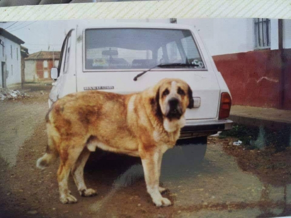 Sirocco, 80 s Propiedad de Eloy Prey
Keywords: 1980