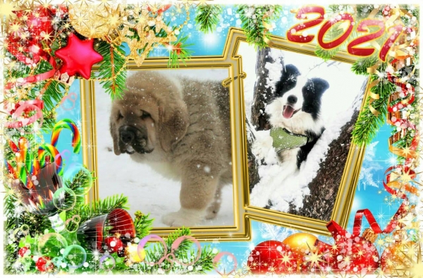Happy New Year 2021 from Svetlana Gavrilina
