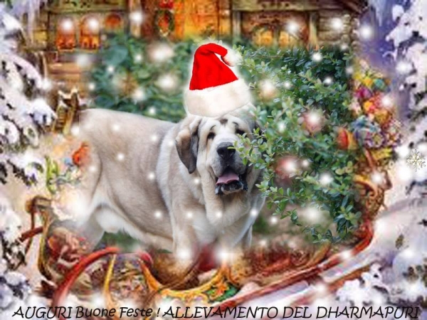 Merry Christmas & Happy New Year 2014 from 'Dharmapuri', Italy
Keywords: xmas