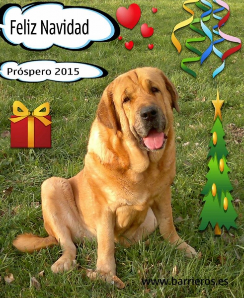 Merry Christmas & Happy New Year from Barrieros, Spain
Keywords: xmas barrieros