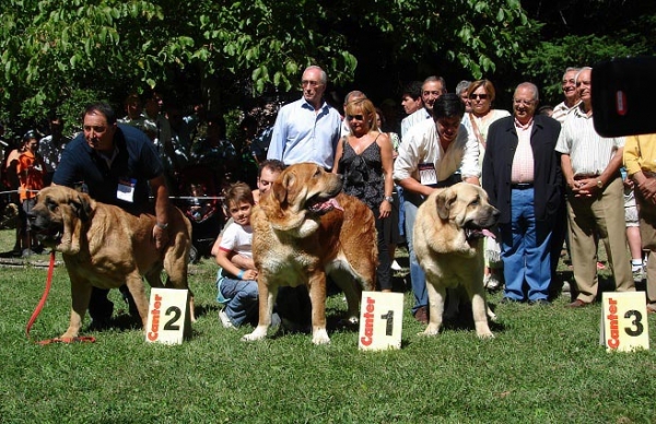 Open Class Males - Clase Abierta Machos - Barrios de Luna 09.09.2007
Kľúčové slová: 2007