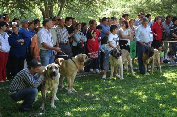 Young Class Males - Clase Jóvenes Machos - Barrios de Luna 09.09.2007
Keywords: 2007