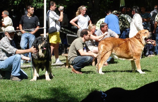 Best Female & Best Male - Open Class, Clase Abierta - Barrios de Luna 09.09.2007
