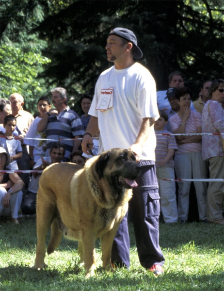 Saska de Antalmuhey - Barrios de Luna, León, 14.09.2003
(Rex II de los Mesones x Delta del Valle Escondido)


 

Keywords: 2003 duero