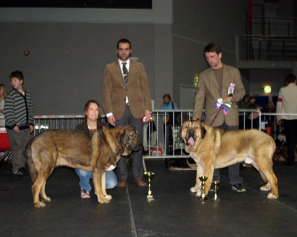 MUSCULAR LA ESTRELLA (intermediate class): EXC. 1, Best Female , EST CAC, BOB & HAREM ULMAF PIKSEPINI (junior class): EXC. 1, EST JCAC, BOS junior, BOS, International Dog Show, Tallinn, 13-14.02.2009
Kľúčové slová: 2009