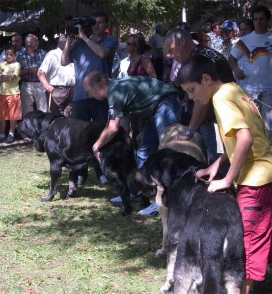 Open Class Males - Barrios de Luna 10.09.2006
Keywords: 2006